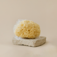 Natural Sea Sponge