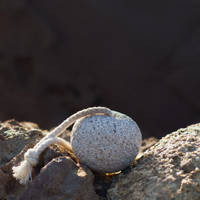 Pumice Stone