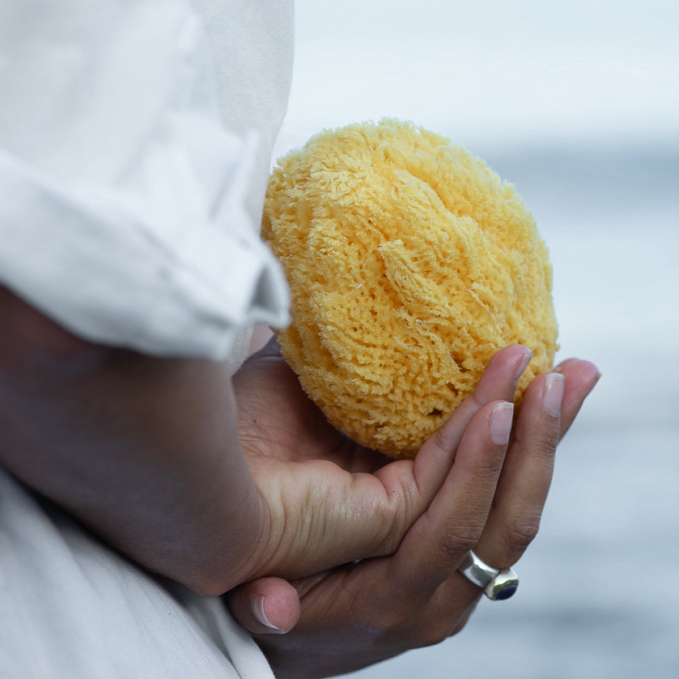 Natural Sea Sponge