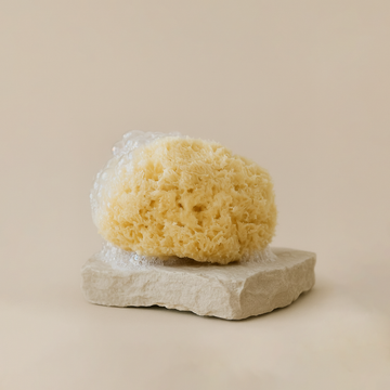 Natural Sea Sponge
