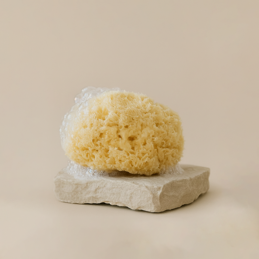 Natural Sea Sponge