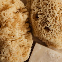 Natural Sea Sponge